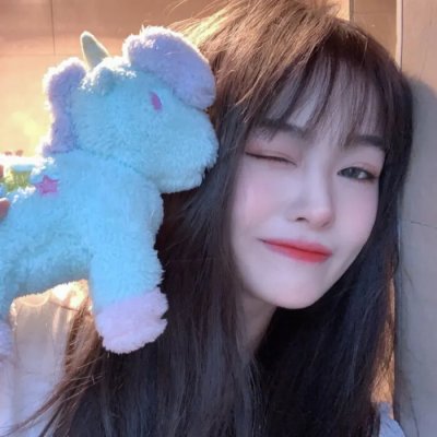 木材宝藏狗